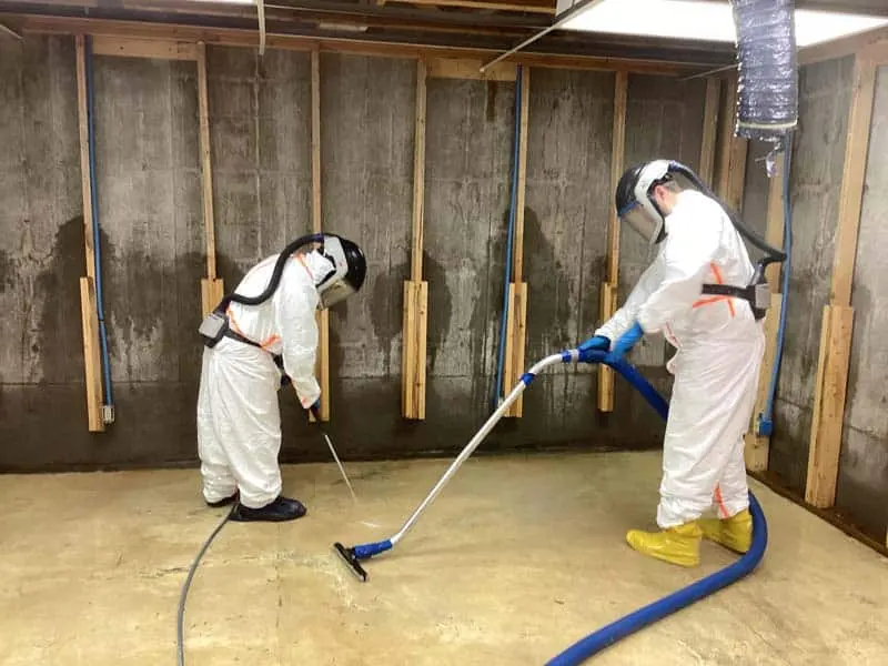 Sun City Water Damage Pros technicians drying a water damaged home in Sun City, CA